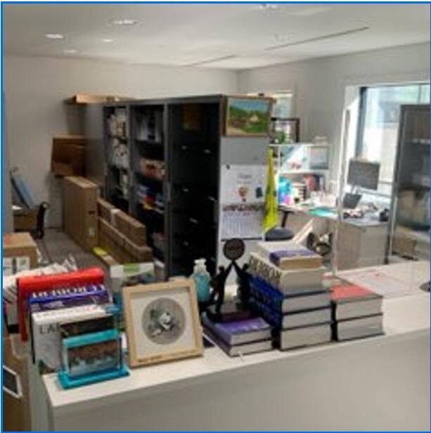 Borne d'accueil bois blanc